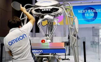 聚焦進(jìn)博會(huì) 三成參展企業(yè)來(lái)自“一帶一路”沿線，共繪經(jīng)貿(mào)合作新圖景