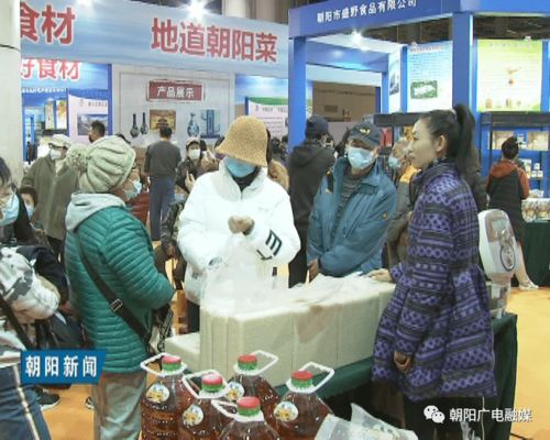 2020朝陽(yáng)（大連）農(nóng)產(chǎn)品展銷及經(jīng)貿(mào)洽談會(huì)圓滿收官，譜寫(xiě)區(qū)域合作新篇章